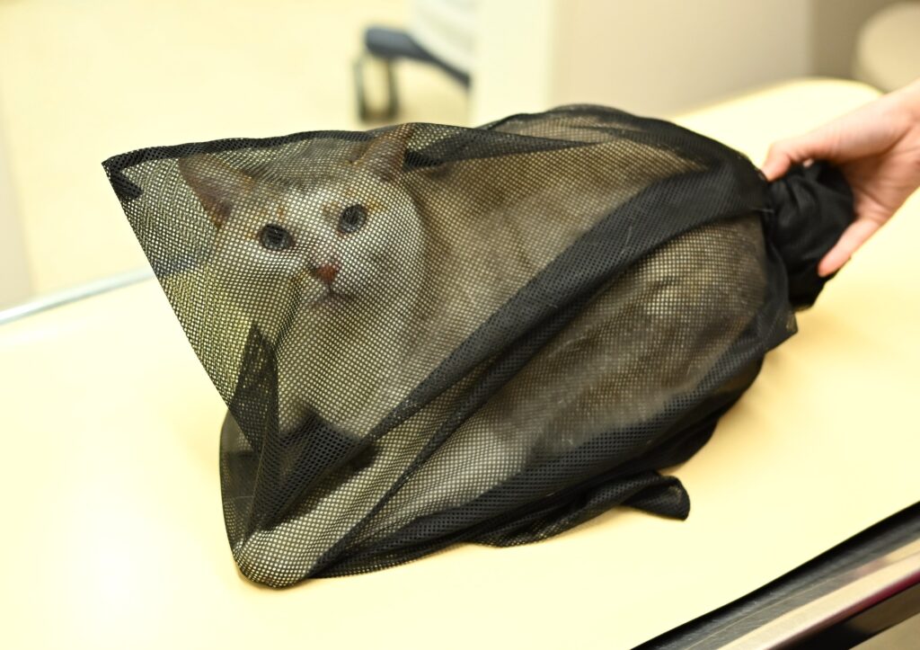 マルクリニック キャリーケース庵02