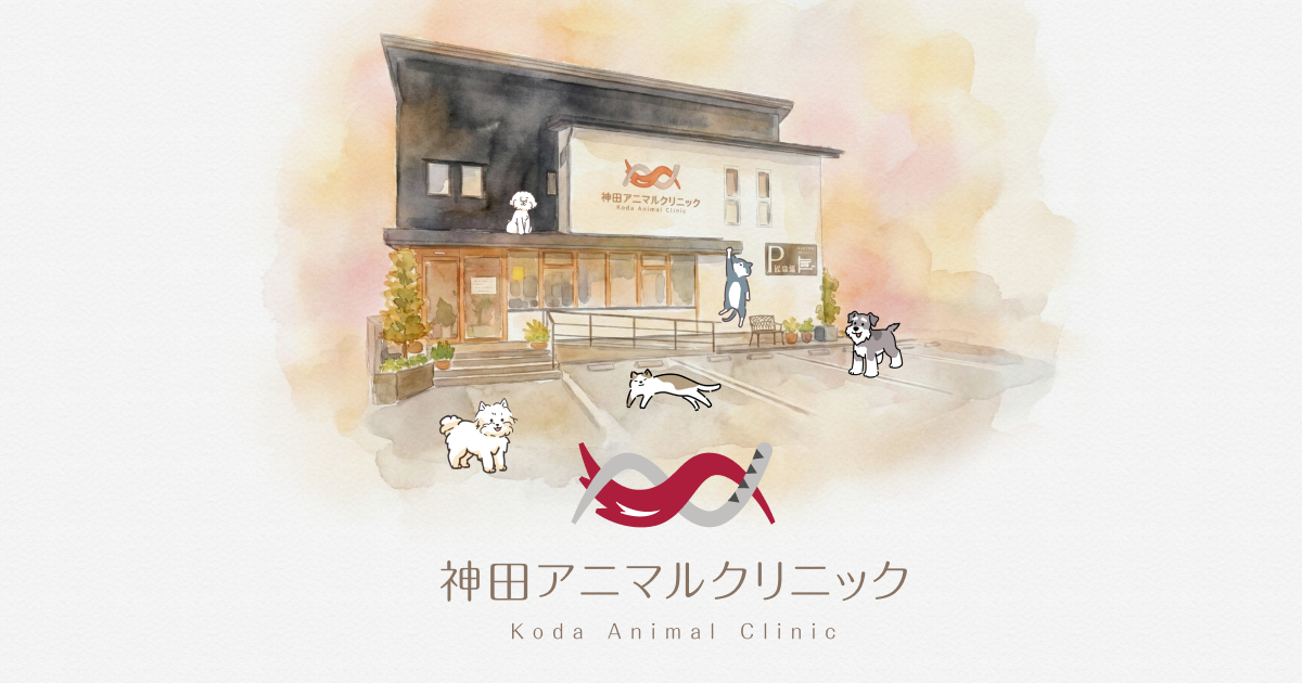 神田アニマルクリニック - 高知市神田の動物病院